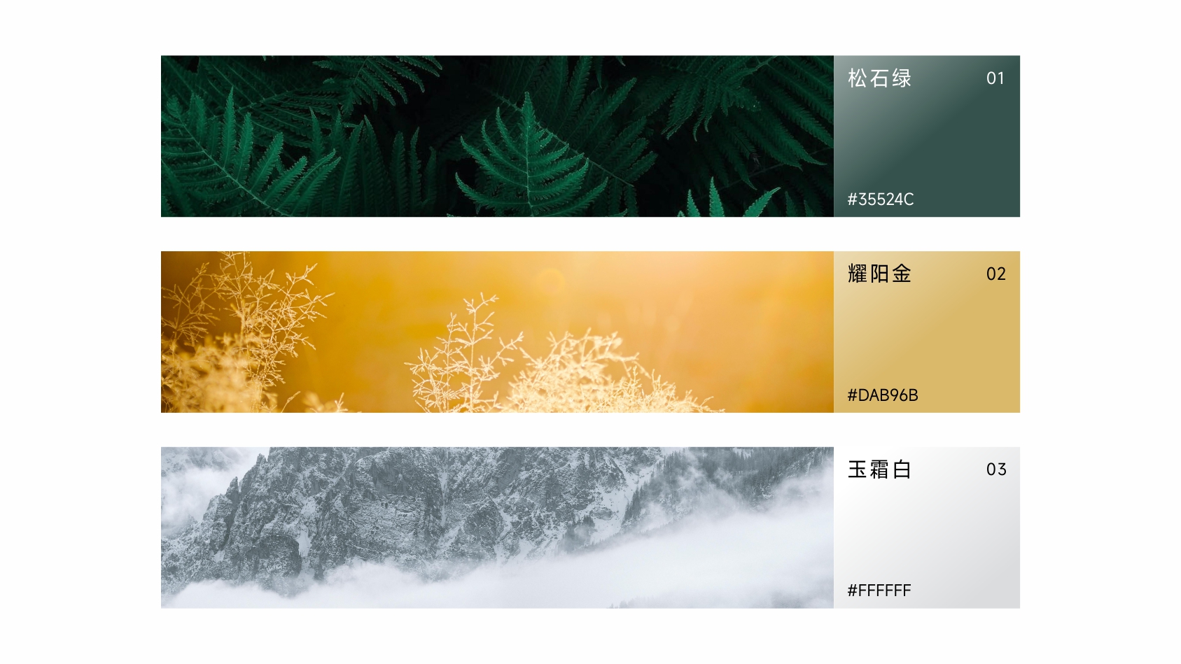 问木-6.jpg